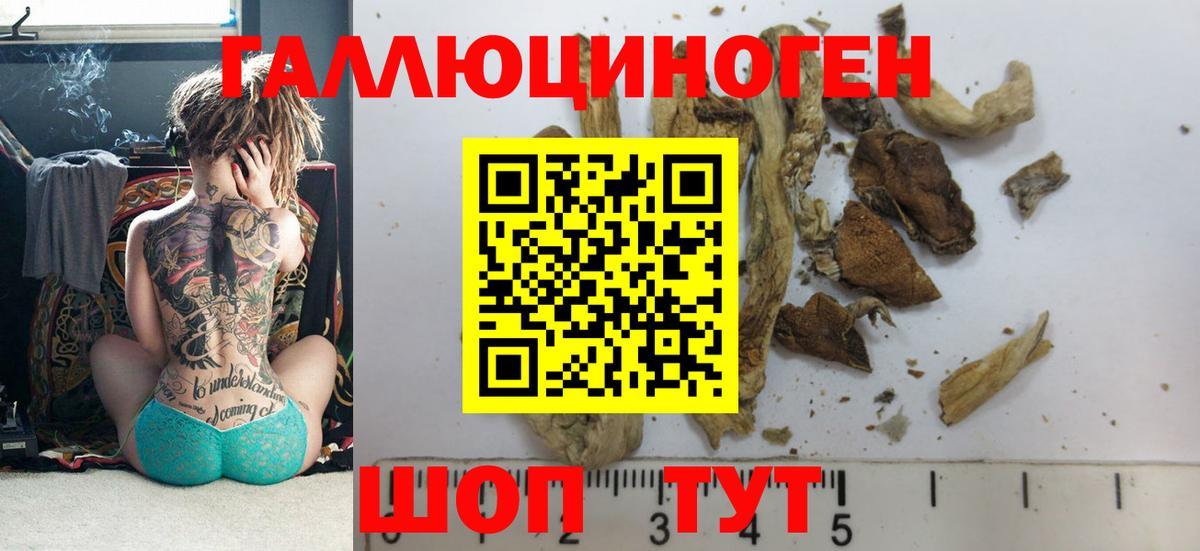 Псилоцибиновые грибы MAGIC MUSHROOMS Кинешма