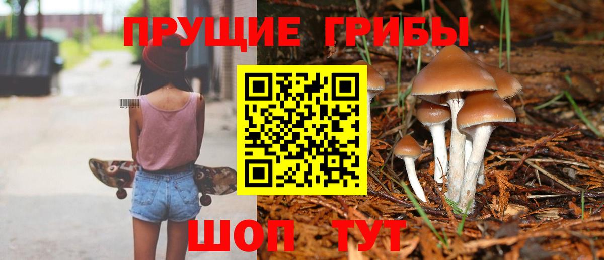 Псилоцибиновые грибы Psilocybe  Вход с VPN  Кинешма 